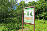 В Саратовской области открыли экотропу с красочной навигацией