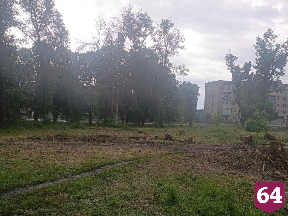 Горожане поблагодарили депутата Госдумы за помощь в спиле сухостоя